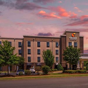 Comfort Inn & Suites At Crossplex Village